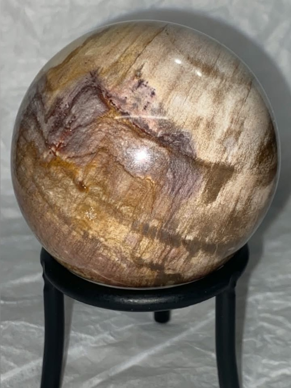 Madagascar Petrified Wood Sphere